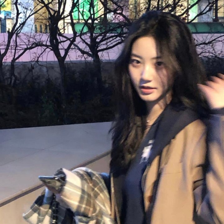 会长的贴身校花