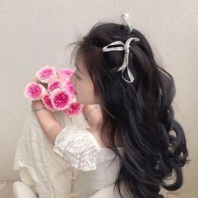 绘图人